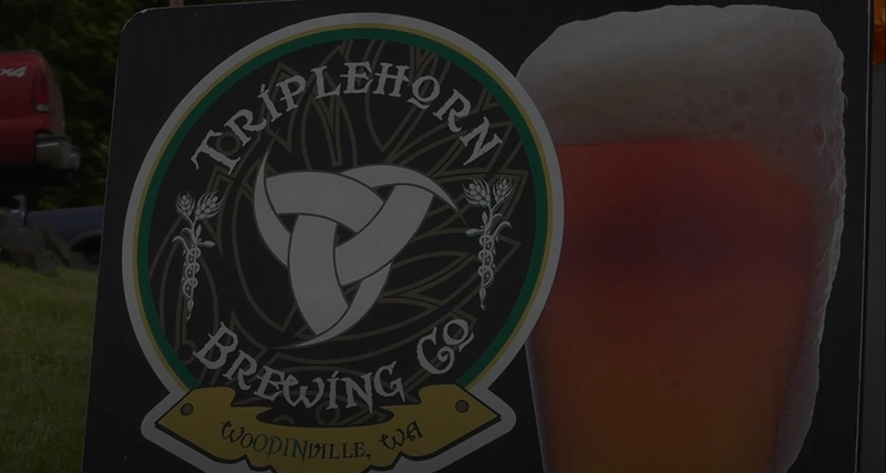 Triplehorn Video Sound Productions